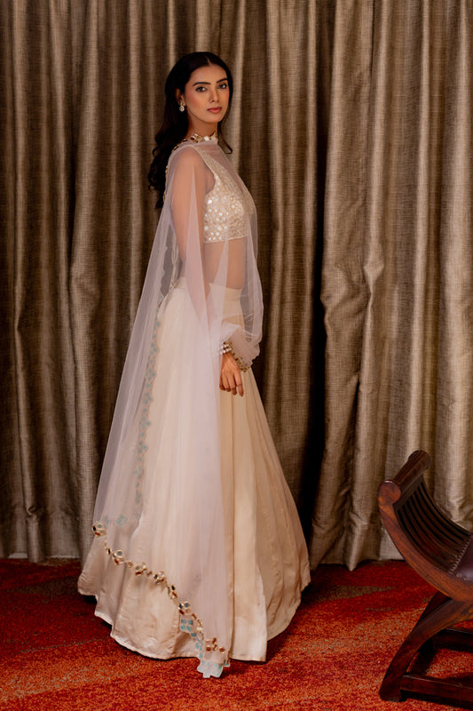Aaina Rose Silk Lehenga Set