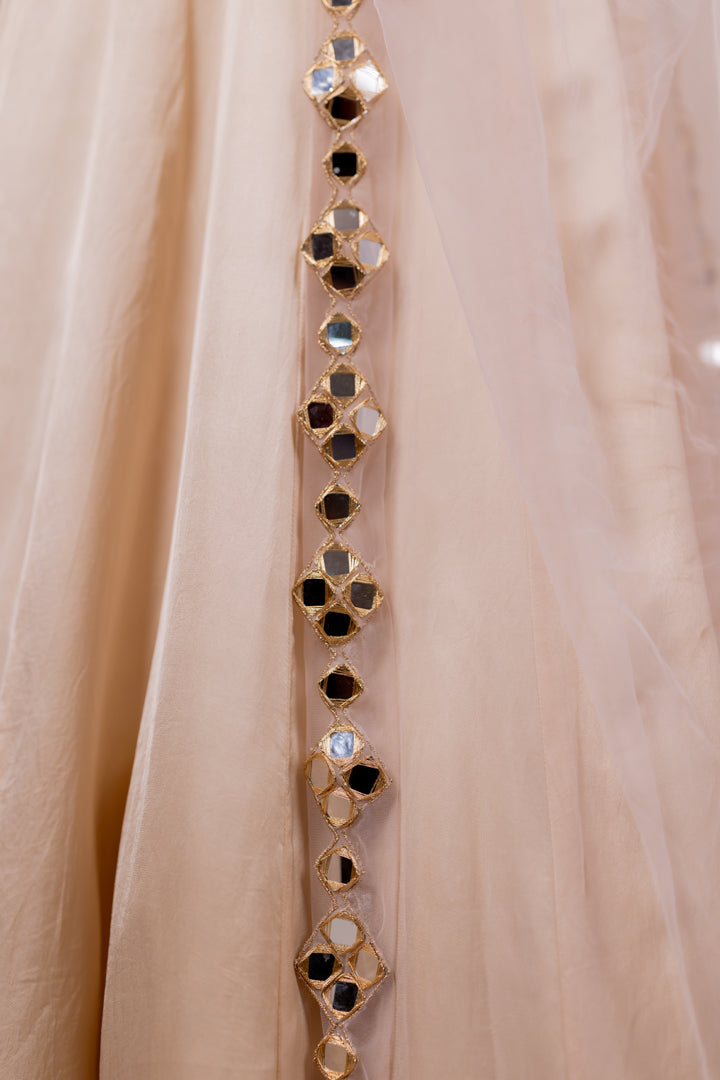 Aaina Rose Silk Lehenga Set