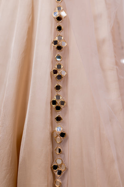 Aaina Rose Silk Lehenga Set