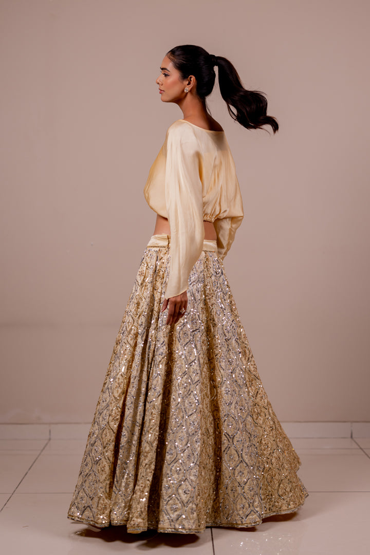 Aureya Lehenga with Rose Silk Top