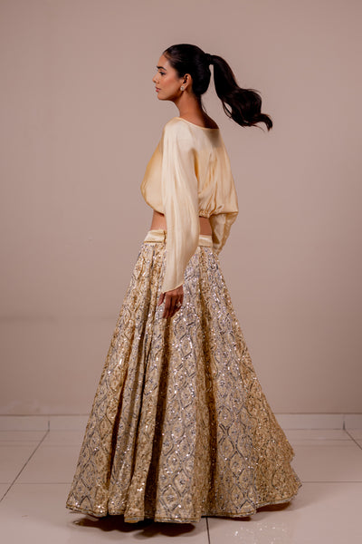 Aureya Lehenga with Rose Silk Top