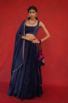 Velvet Blouse & Lehenga With Organza Dupatta